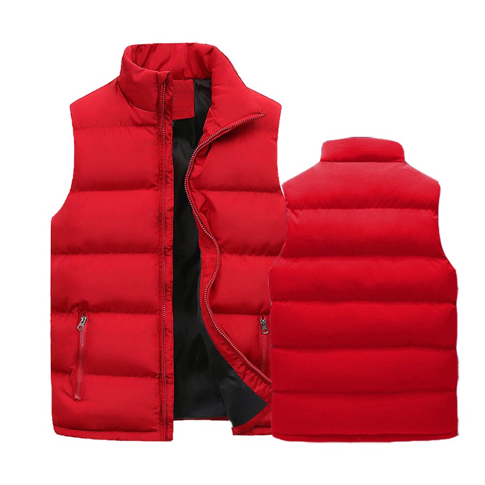 CHRISTOPH - Bodywarmer - gevoerd met opstaande kraag en rits